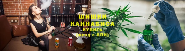 индика Гусев