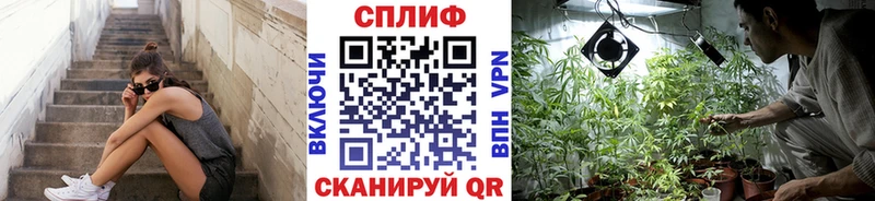 купить Зубцов Марихуана гибрид
