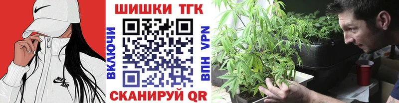 Канабис планчик Зубцов